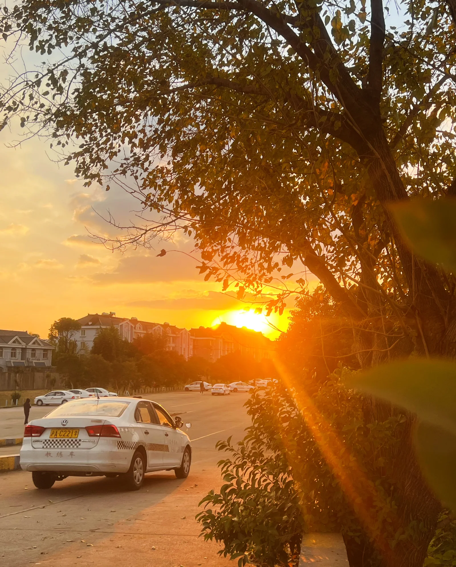上班族学车，先把时间安排明白