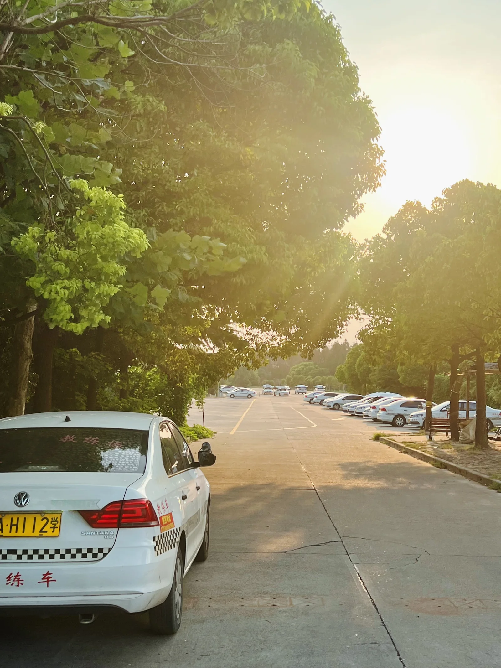 资料库中的场地树荫道路及教练车